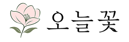 오늘꽃